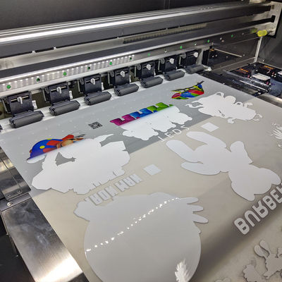 Un bon prix. 33cm 60cm 30cm Double côté Mat Peel chaud Peel froid Peel film pour animaux de compagnie Transfert de chaleur Dtf film rouleau pour tissu en ligne