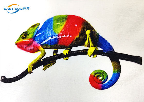 Un bon prix. film imprimable d'ANIMAL FAMILIER du transfert de chaleur de 600mm A3 pour l'impression de jet d'encre de DTF en ligne