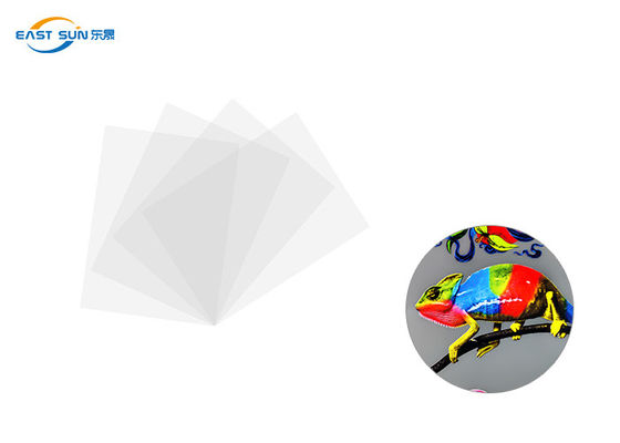 Un bon prix. Couleur blanche de la largeur 60cm 33cm 30cm DTF de chaleur de film conventionnel de transfert en ligne