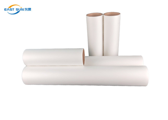 Good price épluchage chaud de film imprimable du film DTF d'ANIMAL FAMILIER de 30cm 60cm DTF/épluchage froid pour l'habillement en ligne