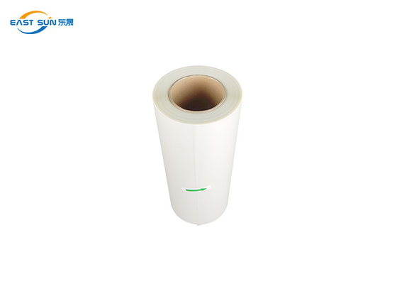 Single Double Side Matte 30cm 33cm 60cm Dtf Film Roll Dtf Film pour animaux de compagnie